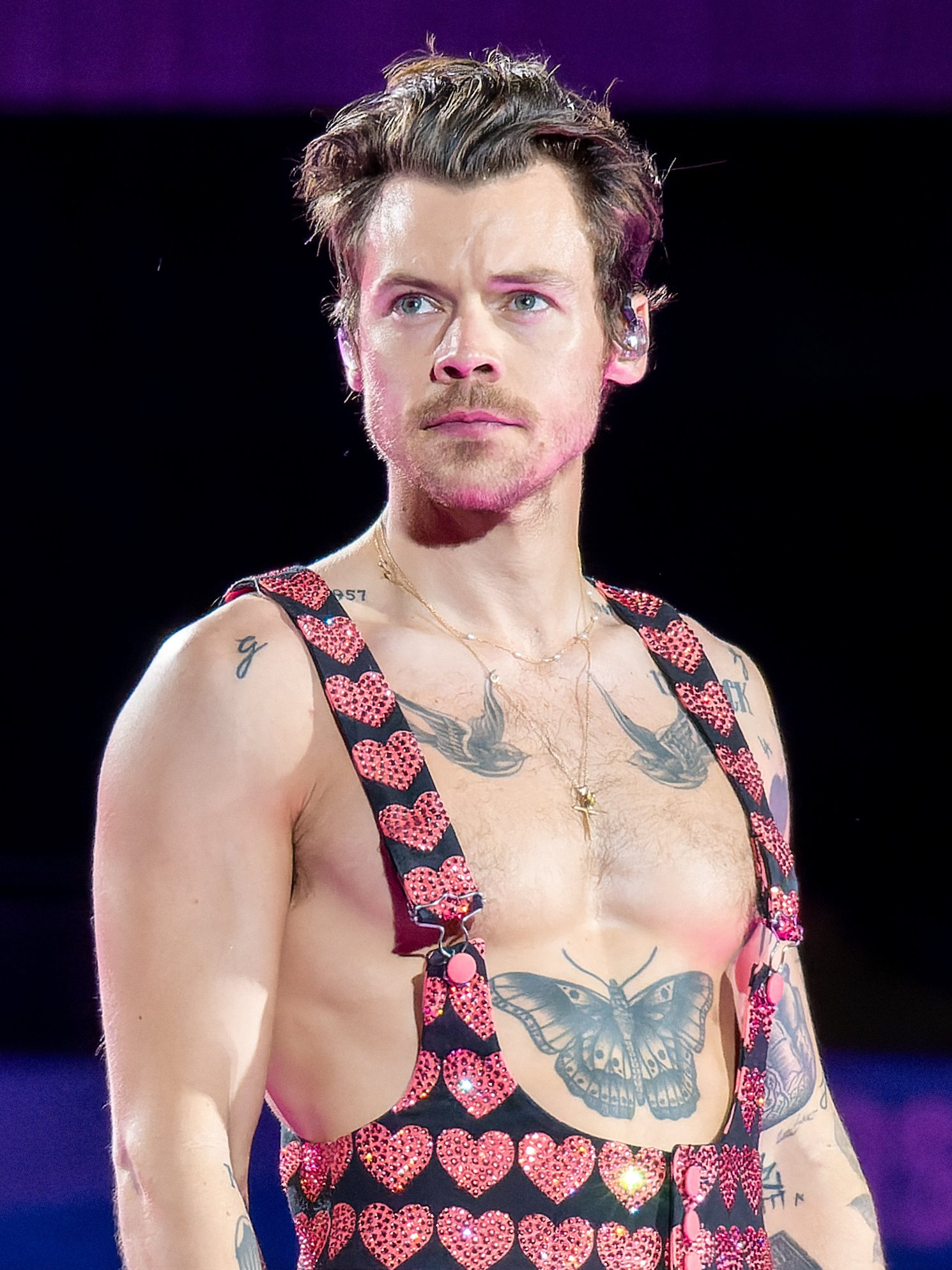 Portrait of Harry Styles