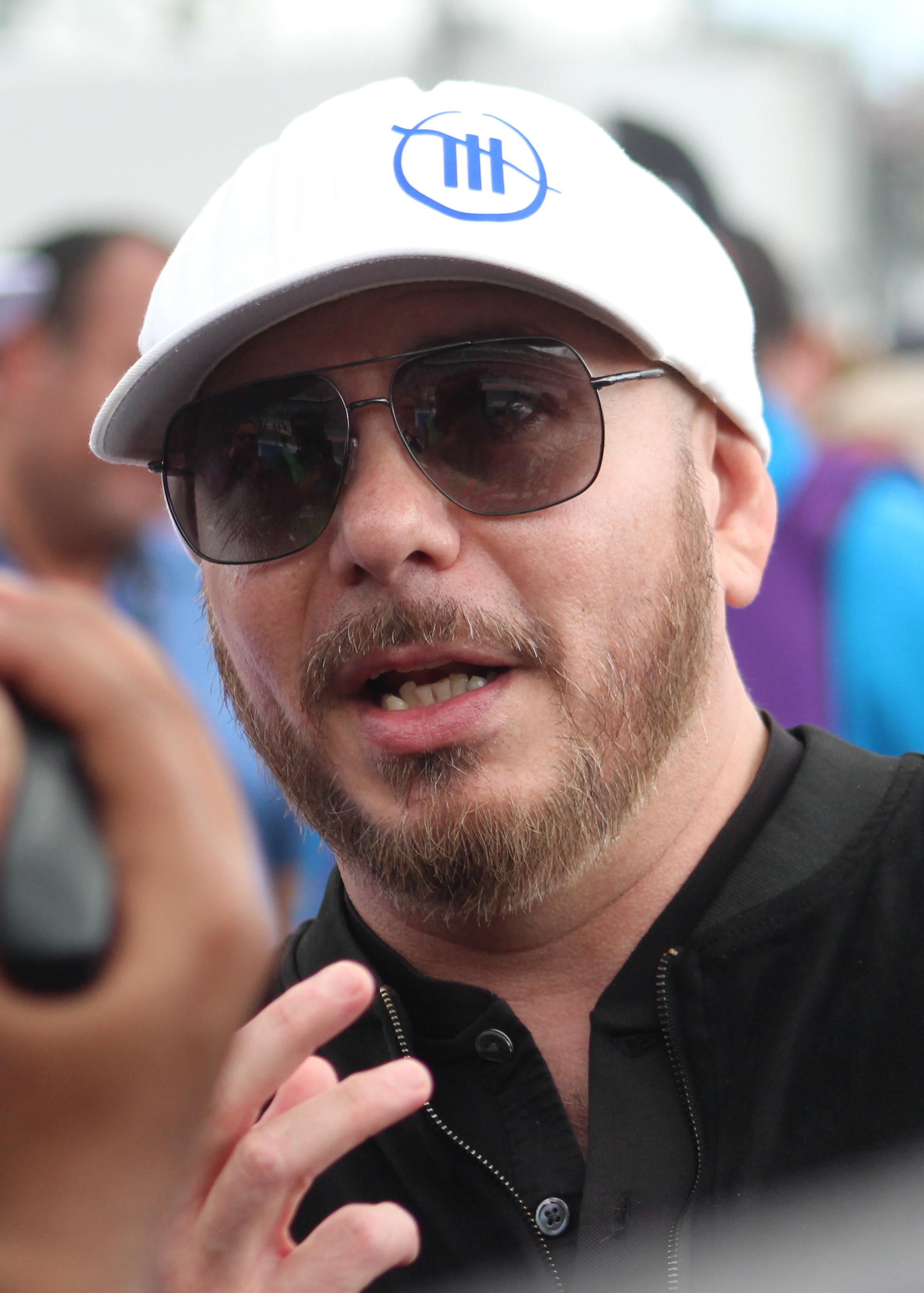 Portrait of Pitbull
