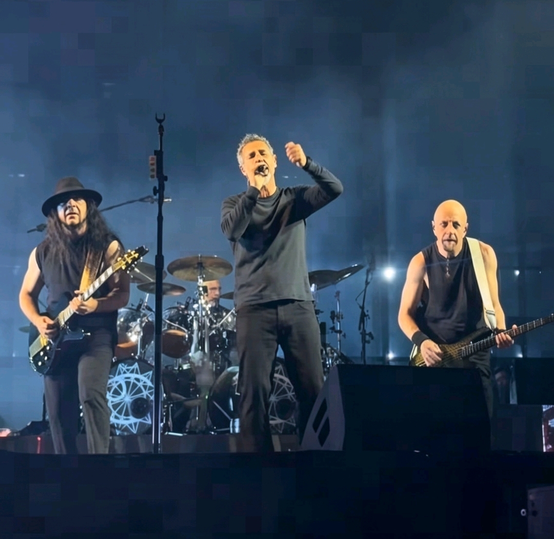 Portrait of System of a Down