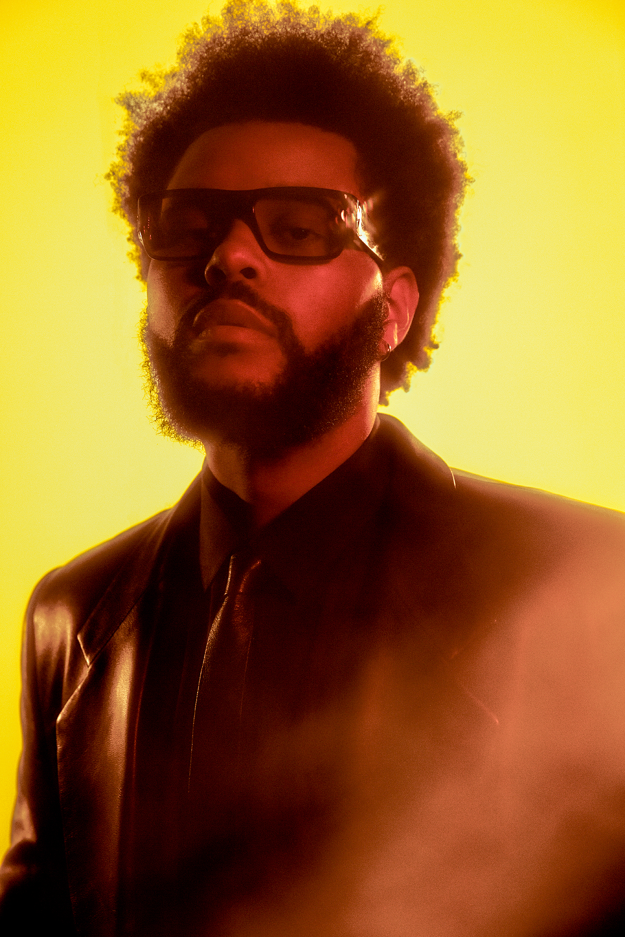 Portrait of The Weeknd